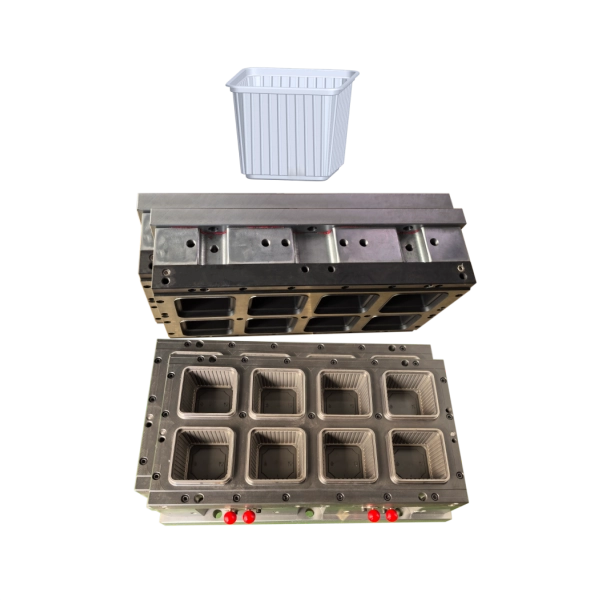 Square Box Thermoforming Mould