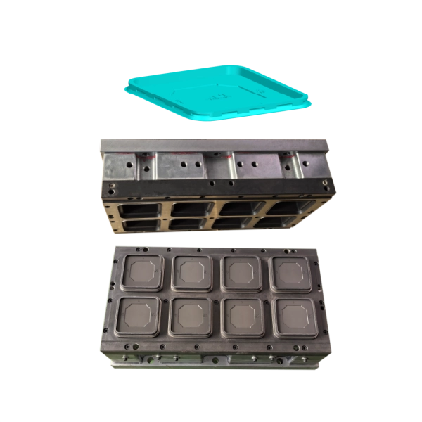 Square Lid Thermoforming Mold