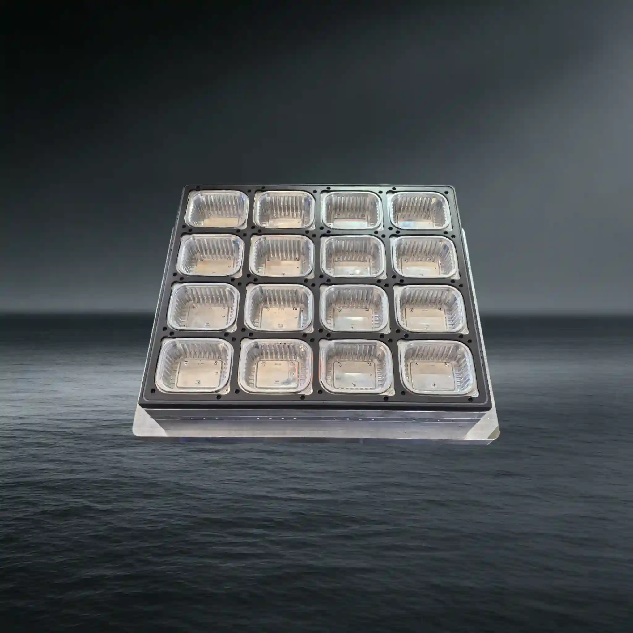 Food Container Thermoforming Mold  for 3/4 Station Machine